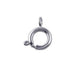 Spring Ring Clasp