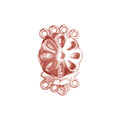 CRG-195 Rose Gold Overlay Multi Strand Clasp With 4 Holes Beads Bali Designs Inc 
